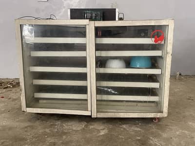 Eggs incubator machine