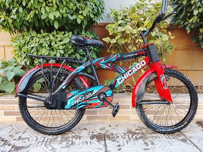 CHICAGO imported cycle - 20 size - 0320/225/7271