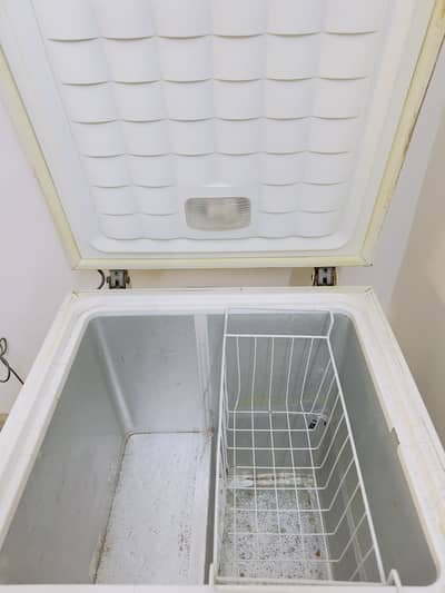 Single door deep freezer