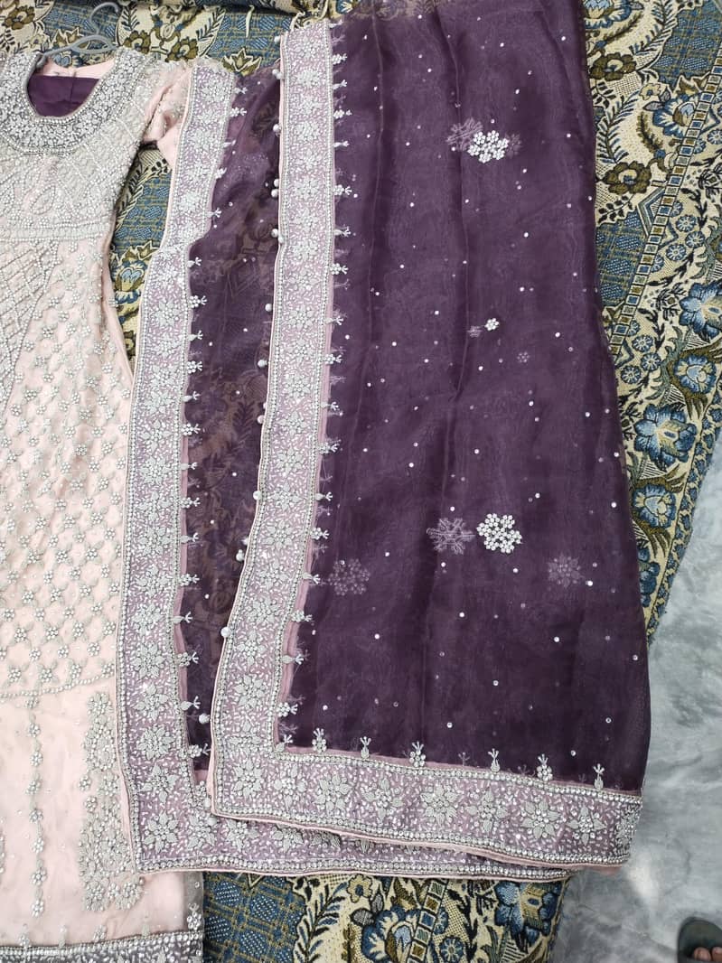 Walima Maxi 1