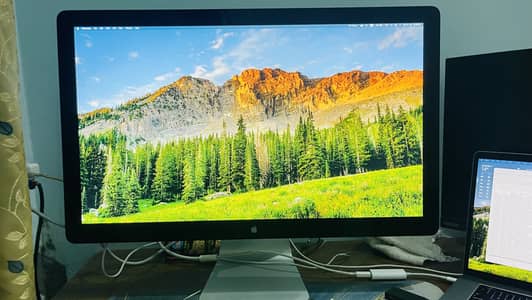 Apple LCD Thunderbolt Display 27"