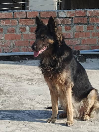 , health is good age 18  month