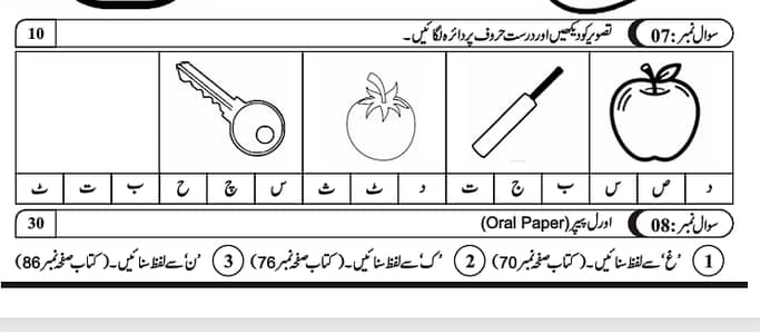 Schools Papers & Books Composing | Urdu & English