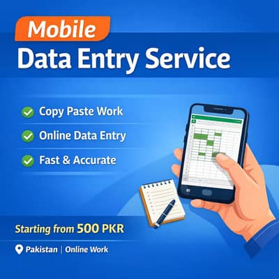 professional data entry