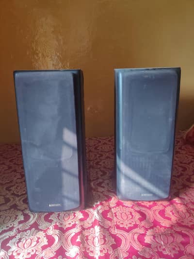 pioneer Woofer+ speaker