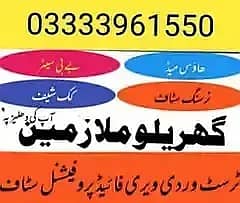 House Maid, Babysitter, Patient Care, Nanny, Nurse, Driver, Chef, Cook