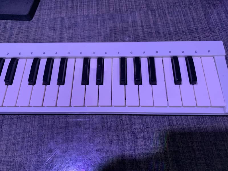Evolution midi Keyboard 1