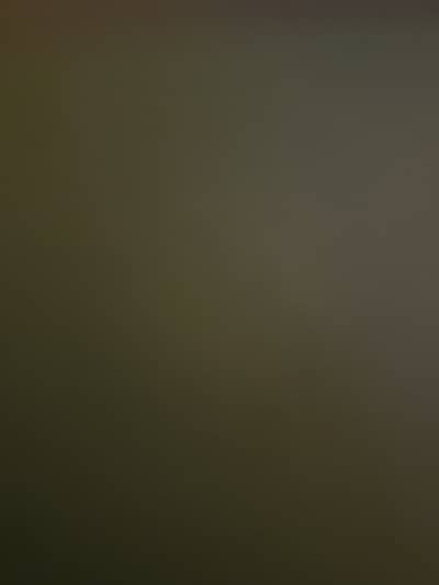 Female Shopify sales manager and social media