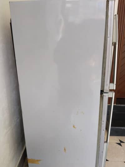 Dawlance medium  Freeg