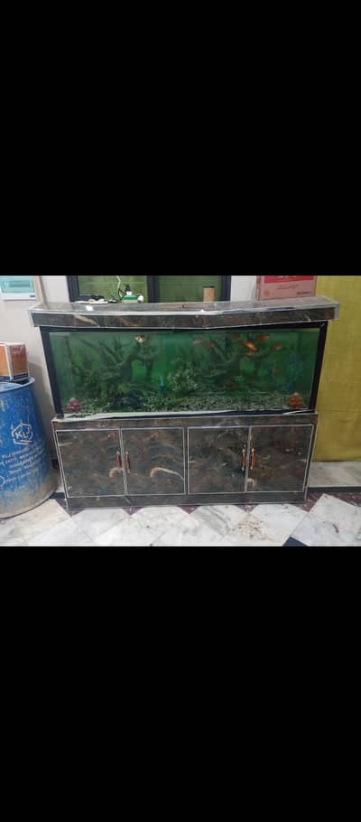 Fish Aquarium for sale
