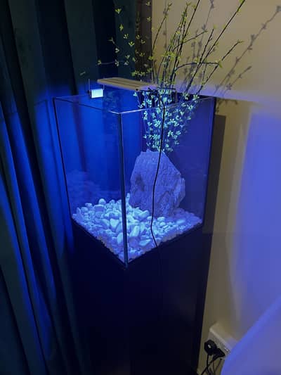 Fish Aquarium tower