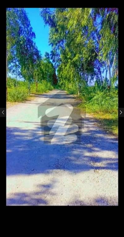 5 Marla Plot For Sale Chakri Road Gullsha E Kashmir Rawalpindi