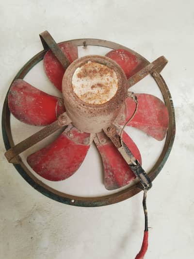 egziost fan 24 inch janvan coper winding  contact no 03077403229