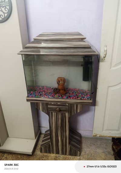 2 Feet Aquarium