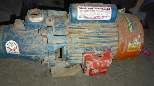 shahzad pumps moter