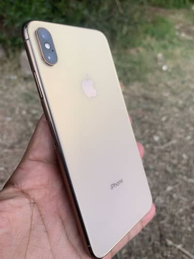 Xsmax non pta doul sim CHA model 86 battery Health