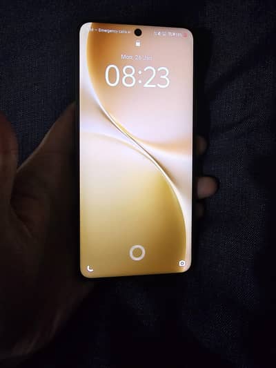 vivo v60