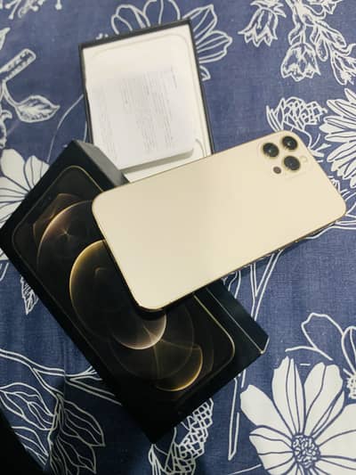 iPhone 12 pro max official Pta