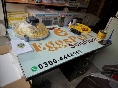 Whole Saler Imported Full Automatic Eggs Incubator  Electric Efficient