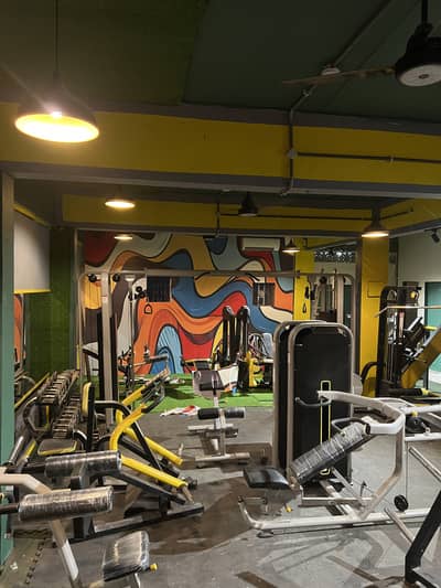 Complete Gym Equipment/Setup