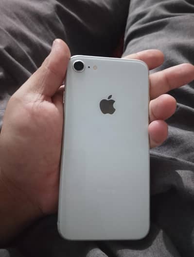 03045677756 iPhone 8 all ok finger ni chalta condition 10/8 buypass ha