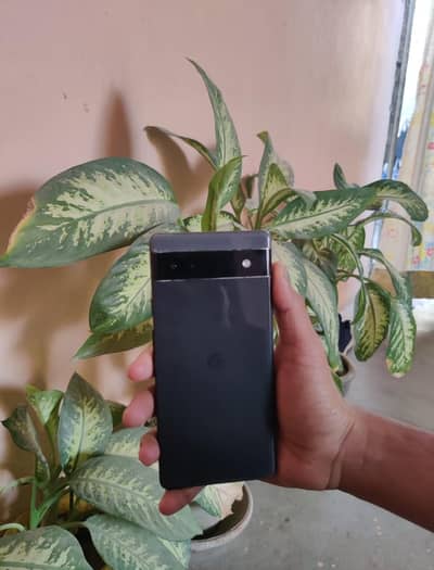 ek line ha wo bhi bilkul halka sa