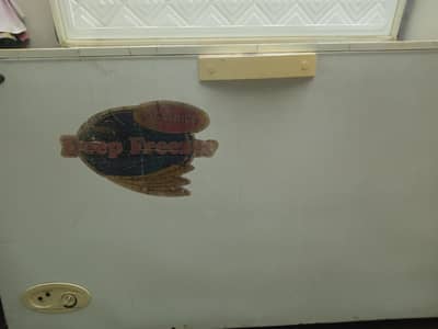DEEP FREEZER FOR SALE