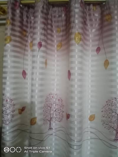 curtains