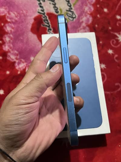 iPhone 13 pta approved