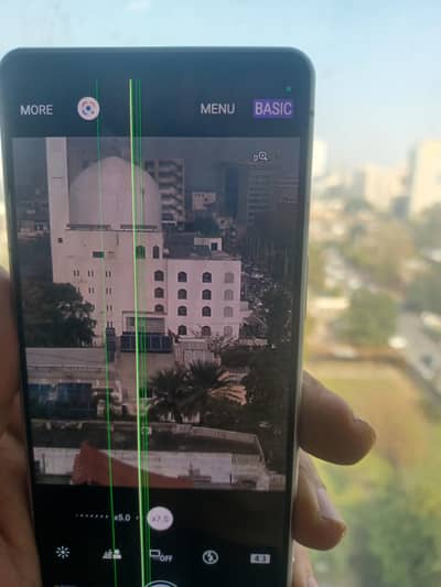 Back and Display Damage