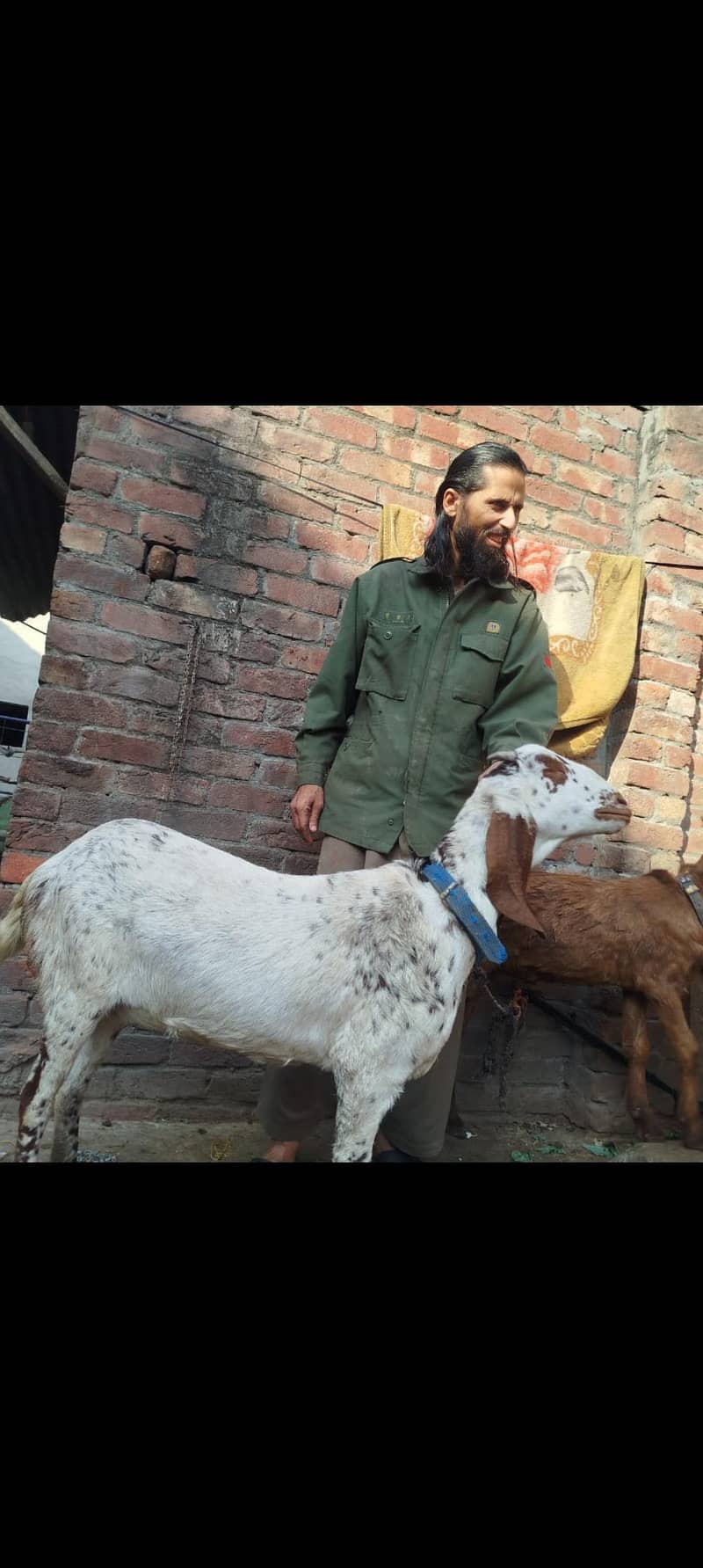 میل فی میل 0