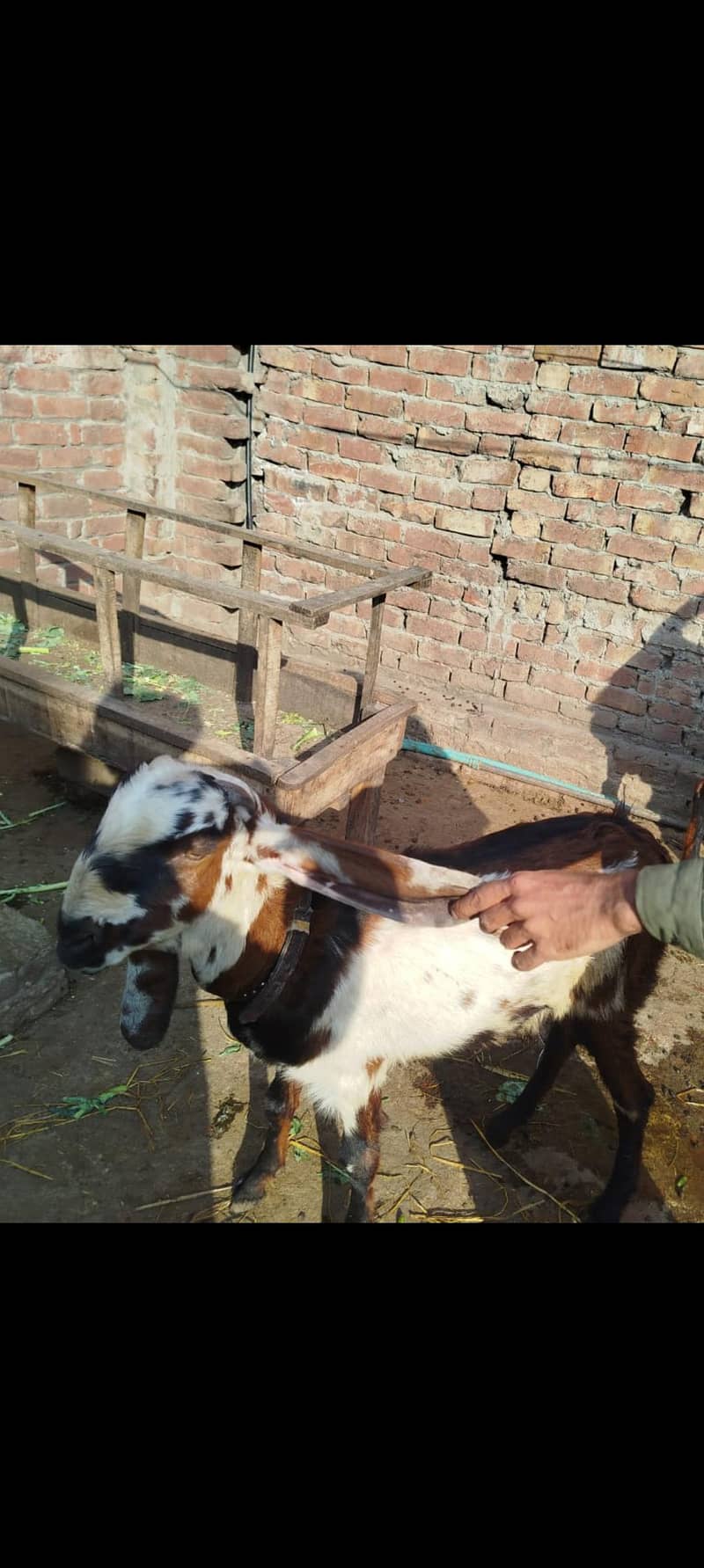 میل فی میل 2