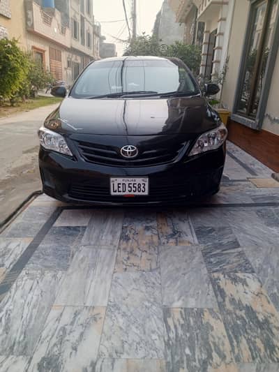 XLI 2009 New Light Bumper