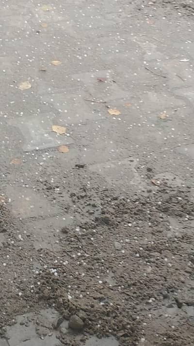 AMD RADEON RX 560 2gb variant