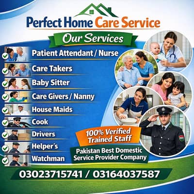 Nurse/Patient attendant/Maid/Baby sitter/Helper/Cook /Driver