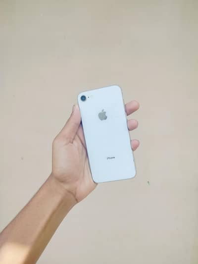 iphone 8 non PTA back camera no working