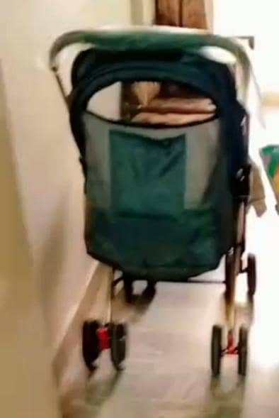 Stroller 1