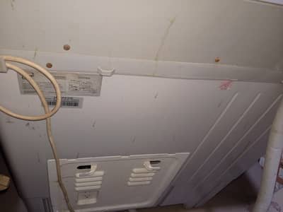 homage twin washing machine