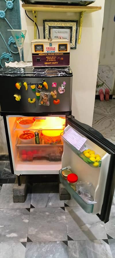 Small Refrigerator brand General