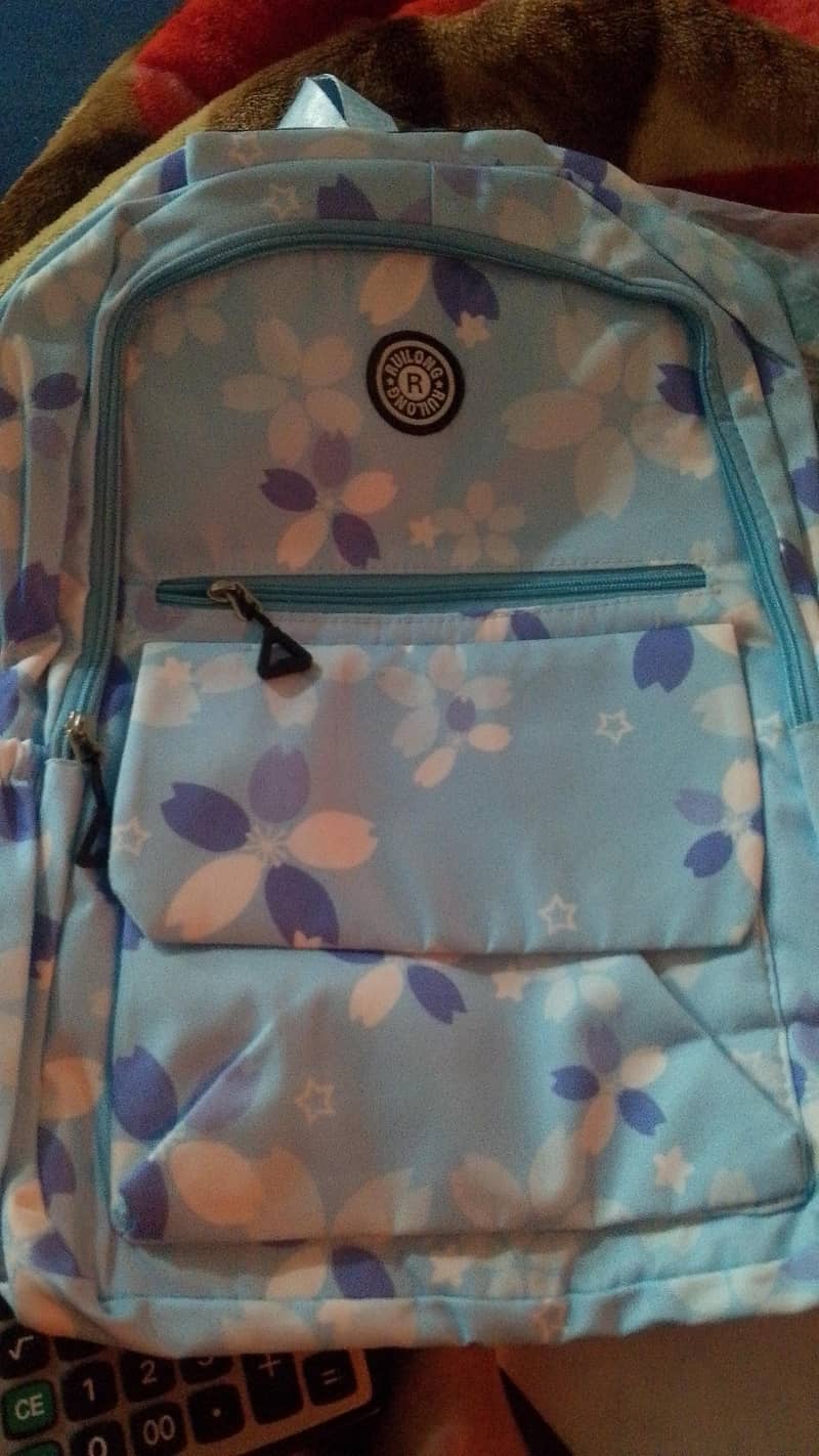 ہول سیل ریٹ پر لیڈیز اینڈ مین سکول بیگ کالج بیگ کراس بیگ 1