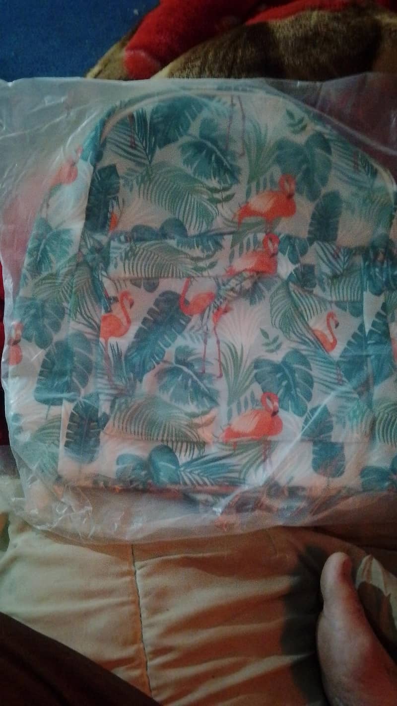 ہول سیل ریٹ پر لیڈیز اینڈ مین سکول بیگ کالج بیگ کراس بیگ 2