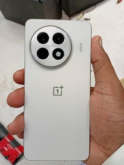 OnePlus 13R/ ACE 5.16/256