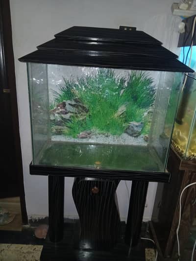 4 Aquarium For Sale 1 with stand and 3 Aquarium without stand