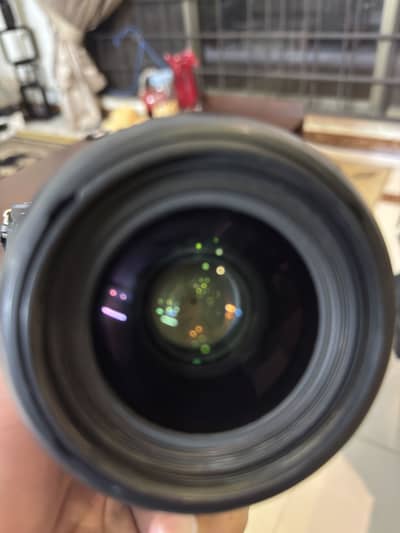 Sony A7iii and Signs 35mm 1.4 DG