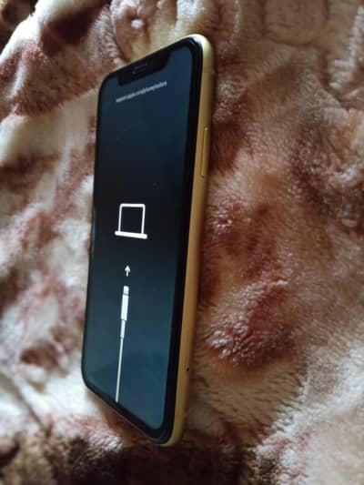iphone 11 { software issue }