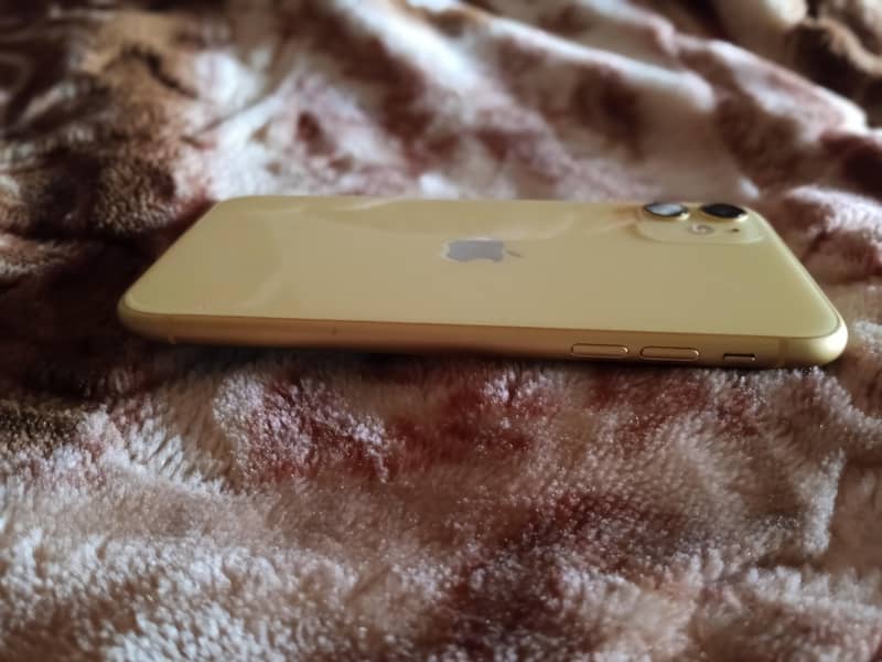 iphone 11 { software issue } 1