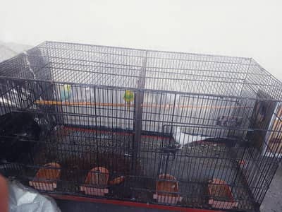 bird cages for sale