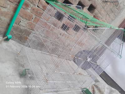 Birds Cage For Sale