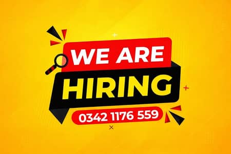 Food Delivery Rider Job + Company eBike