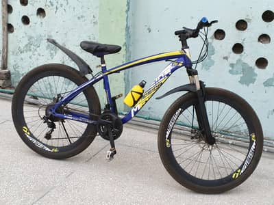 Morgan Imported Bicycle